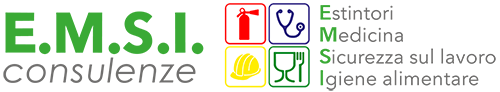 E.M.S.I. Consulenze - logo